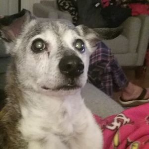 Meet your Posher, Angela